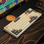 Bàn phím máy tính gaming cơ có dây Asestek AK98 grey white