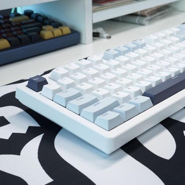 Bàn phím máy tính gaming không dây Sorex SK98W Bishi Blue Rgb 3 mode