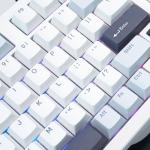 Bàn phím máy tính gaming không dây Sorex SK98W Bishi Blue Rgb 3 mode