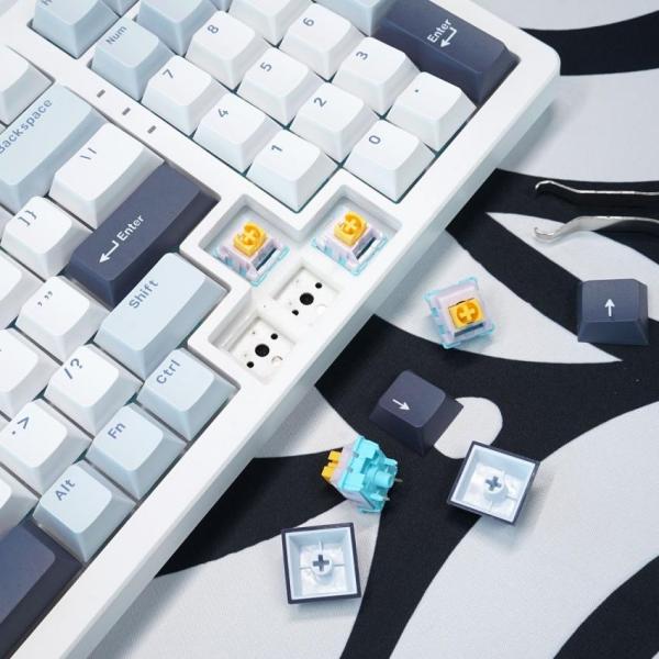 Bàn phím máy tính gaming không dây Sorex SK98W Bishi Blue Rgb 3 mode