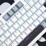 Bàn phím máy tính gaming không dây Sorex SK98W gray black Rgb 3 mode