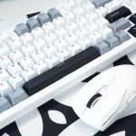 Bàn phím máy tính gaming không dây Sorex SK98W gray black Rgb 3 mode