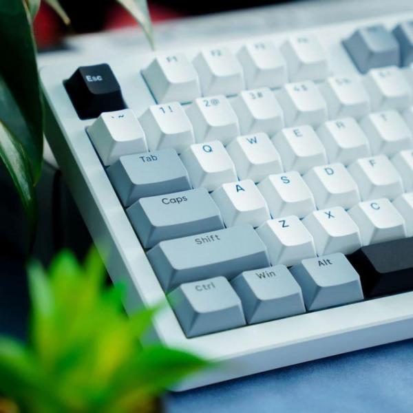 Bàn phím máy tính gaming không dây Sorex SK98W gray black Rgb 3 mode