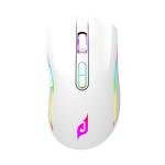 Chuột máy tính gaming không dây E-Dra EM624W