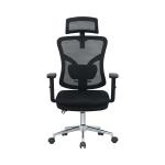 Ghế công thái học Ergonomic E-Dra EEC212