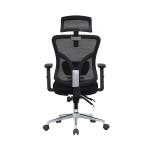 Ghế công thái học Ergonomic E-Dra EEC212