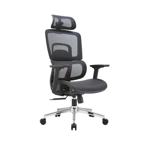 Ghế công thái học Ergonomic E-Dra EEC220