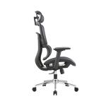 Ghế công thái học Ergonomic E-Dra EEC220