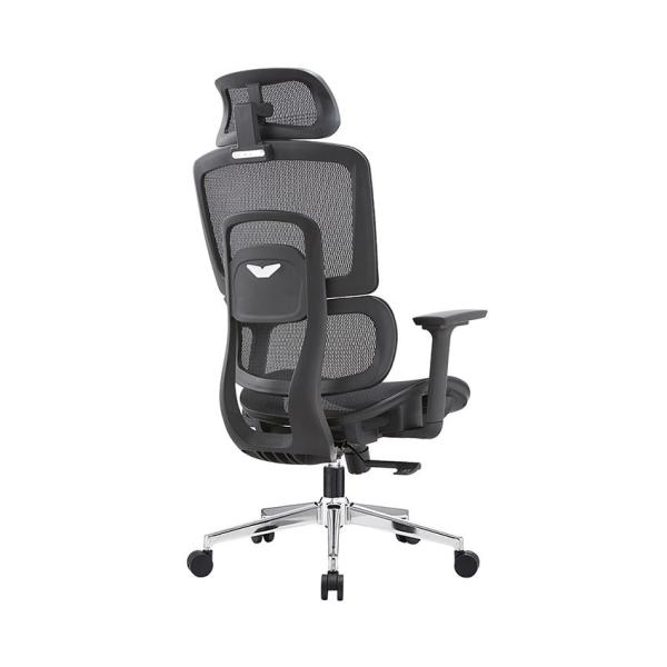 Ghế công thái học Ergonomic E-Dra EEC220